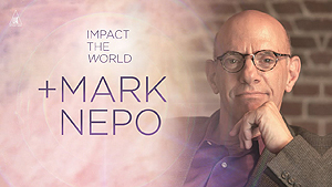 Watch An Interview With Lee Harris On Impact the World